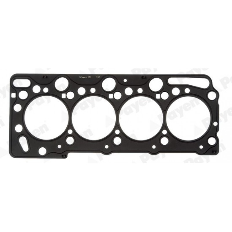 Гарнитура глава AE5520 OPEL Y17DT Y17DTL Z17DTH Z17DTL  AE5520 PAYEN