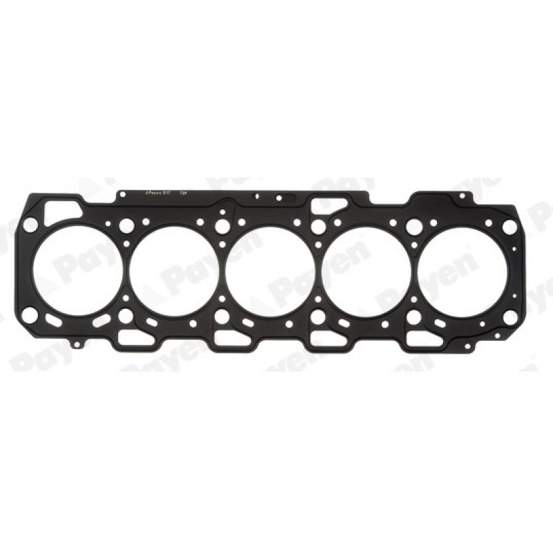 Гарнитура глава AG7420 ALFA ROMEO 1.9 JTDM 16V 2.4 JTDM MULTIJET AG7420 PAYEN