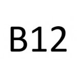 B12 DH12E340 DH12D340 340 к.с. 2006-