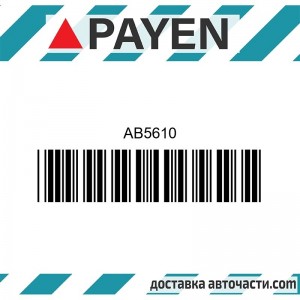 Гарнитура глава AB5610 NISSAN QG18DE AB5610 PAYEN