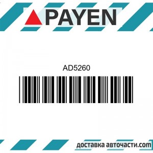 Гарнитура глава AD5260 NISSAN YD22DDT YD22DDTi    AD5260 PAYEN
