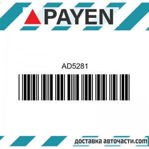 Гарнитура глава AD5281 NISSAN CD20  CD20T AD5281 PAYEN