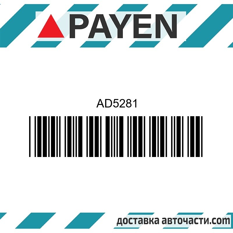 Гарнитура глава AD5281 NISSAN CD20  CD20T AD5281 PAYEN