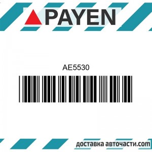 Гарнитура глава AE5530 OPEL Y17DT Y17DTL Z17DTH Z17DTL  AE5530 PAYEN