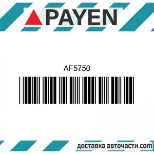 Гарнитура глава AF5750 NISSAN ZD30DDTi     AF5750 PAYEN