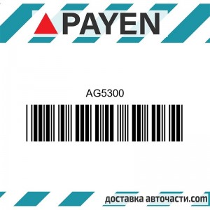 Гарнитура глава AG5300 MITSUBISHI 4D68 4D68T AG5300 PAYEN