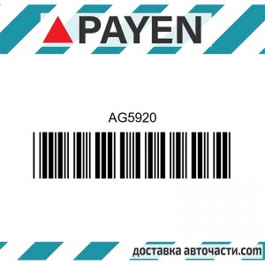 Гарнитура глава AG5920 DAIHATSU EJDE EJ-VE CUORE 1.0   AG5920 PAYEN