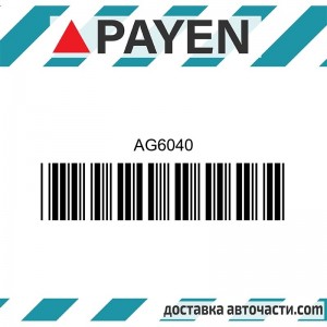 Гарнитура глава AG6040 HYUNDAI G4EC-G  HYU 1.5 16V AG6040 PAYEN