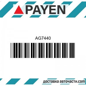 Гарнитура глава AG7440 ALFA ROMEO 1.9 JTDM 8V   Z19DT AG7440 PAYEN