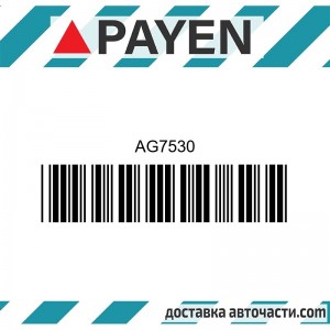 Гарнитура глава AG7530 TOYOTA LAND CRUISER 3.0 D-4D AG7530 PAYEN
