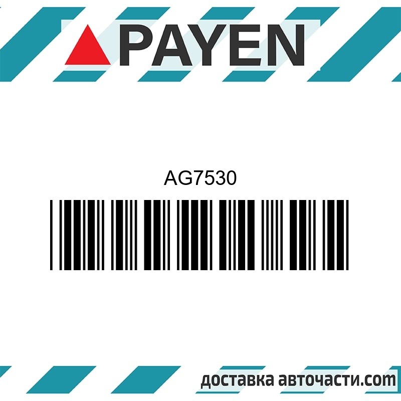 Гарнитура глава AG7530 TOYOTA LAND CRUISER 3.0 D-4D AG7530 PAYEN