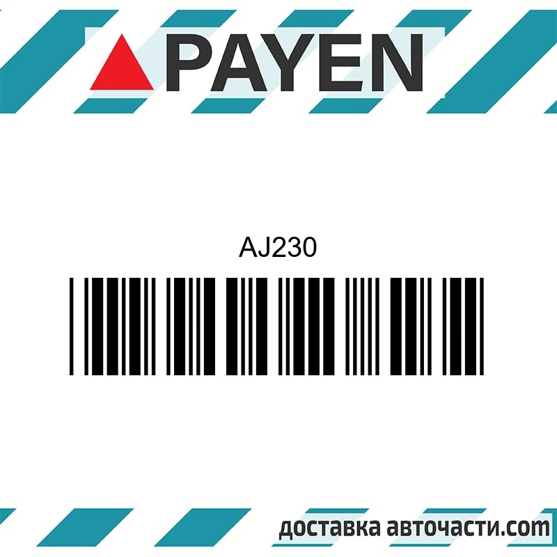 Гарнитура глава AJ230 MAZDA H6 N NA VB  AJ230 PAYEN