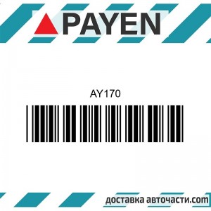 Гарнитура глава AY170 OPEL X17DTL     AY170 PAYEN