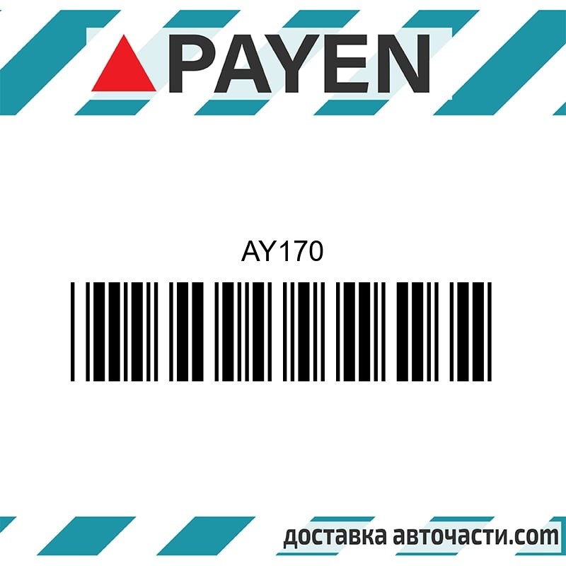 Гарнитура глава AY170 OPEL X17DTL     AY170 PAYEN