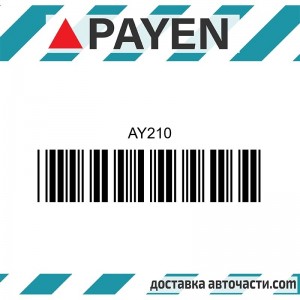 Гарнитура глава AY210 OPEL X14XE Z14XE    AY210 PAYEN