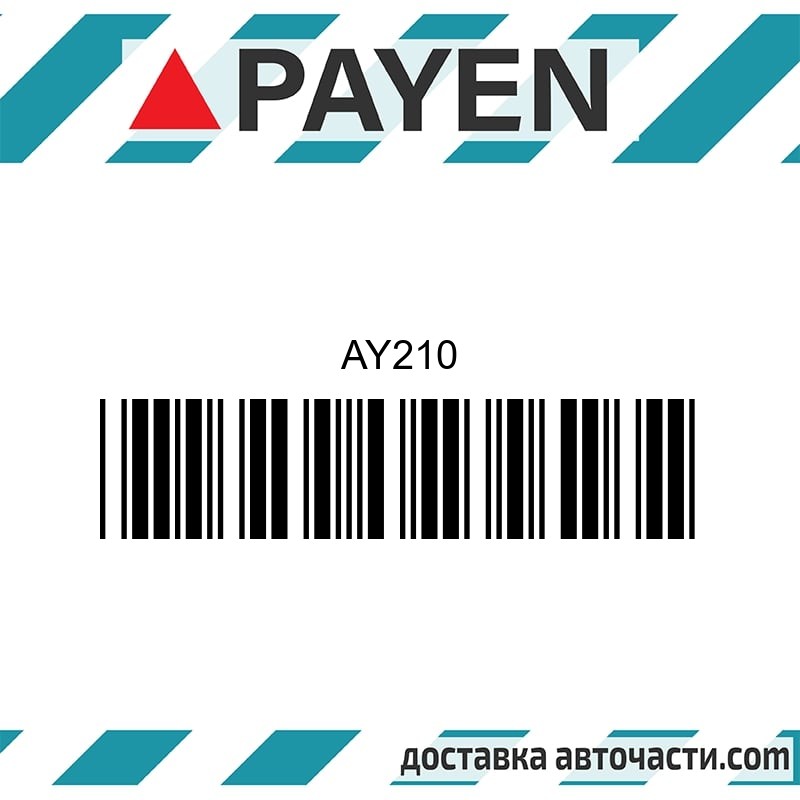 Гарнитура глава AY210 OPEL X14XE Z14XE    AY210 PAYEN