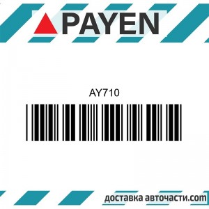 Гарнитура глава AY710 RENAULT D19T D4192T F8Q600 F8Q606 F8Q740  1.9TD AY710 PAYEN