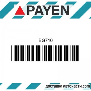 Гарнитура глава BG710 HONDA EE EJ    BG710 PAYEN