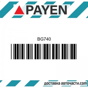 Гарнитура глава BG740 SUBARU EA81     BG740 PAYEN