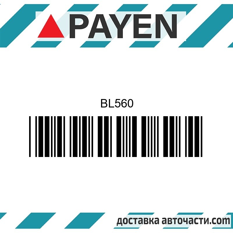 Гарнитура глава BL560 VW VW GOLF I 0.9 1.1 BL560 PAYEN