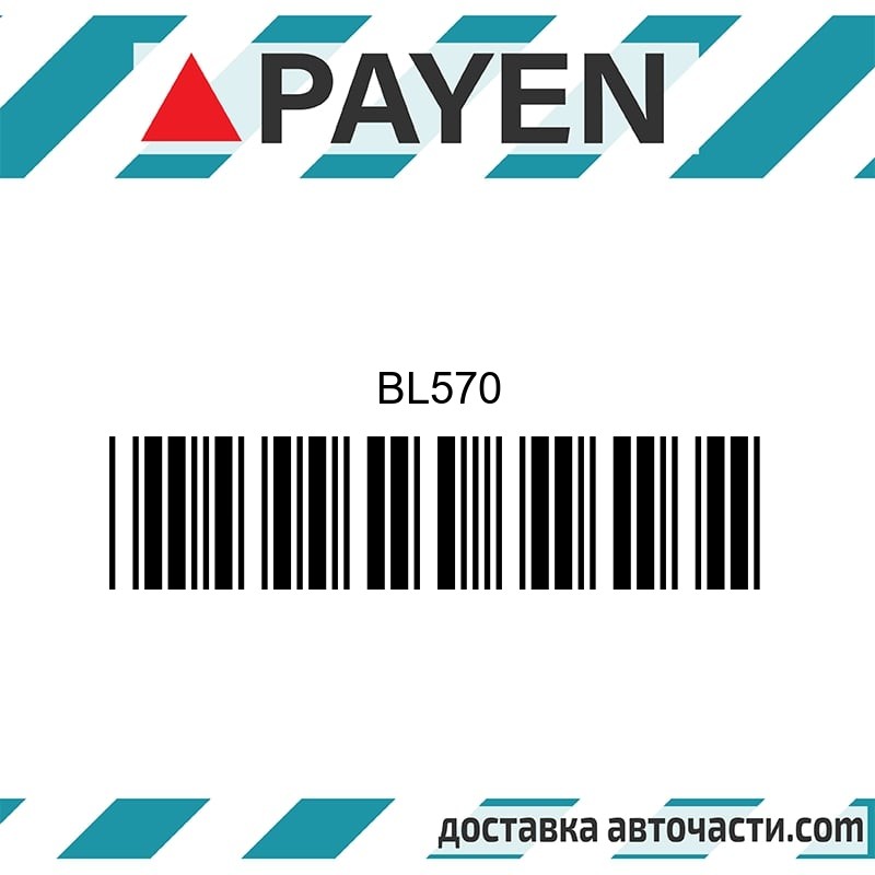 Гарнитура глава BL570 VW 2G 3F AAK AAU AAV BL570 PAYEN