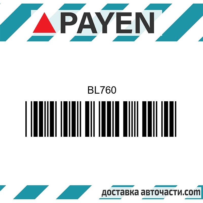 Гарнитура глава BL760 NISSAN MA10 MA10S    BL760 PAYEN