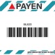 Гарнитура глава BL820 TOYOTA 1Y 2Y 2Y-C 3Y 3Y-C BL820 PAYEN