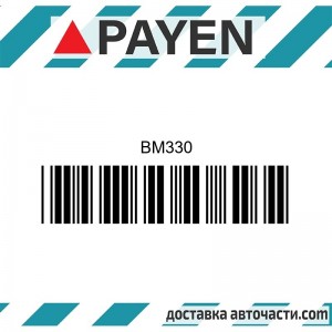 Гарнитура глава BM330 ISUZU 4ZB1 BM330 PAYEN