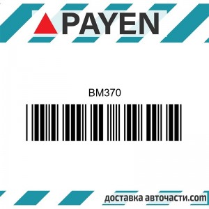 Гарнитура глава BM370 ISUZU C223     BM370 PAYEN