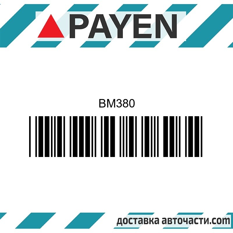 Гарнитура глава BM380 OPEL 18E 18N 18S C18NE C18NT BM380 PAYEN