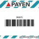 Гарнитура глава BM570 NISSAN VG30E VG30ET VG30i VG30T  BM570 PAYEN