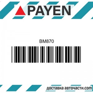 Гарнитура глава BM870 TOYOTA 2A 2A-L    BM870 PAYEN