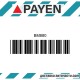 Гарнитура глава BM880 TOYOTA 22R 22RE 22REC 22RTEC  BM880 PAYEN