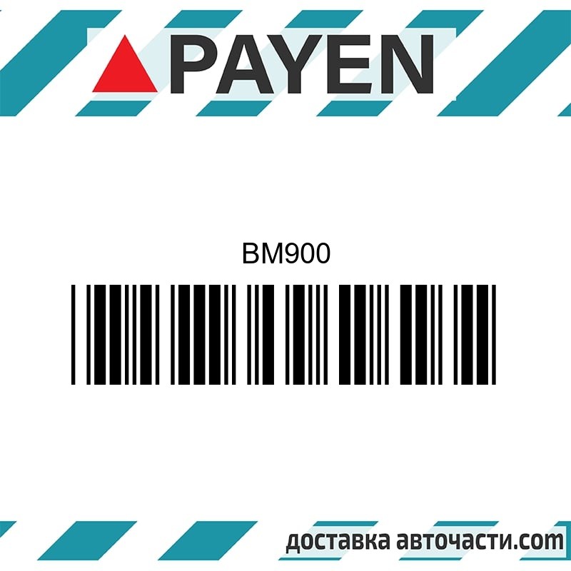 Гарнитура глава BM900 DAIHATSU Rocky  DL DL51 DL52 DG 2.8D  BM900 PAYEN