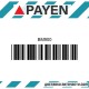 Гарнитура глава BM900 DAIHATSU Rocky  DL DL51 DL52 DG 2.8D  BM900 PAYEN