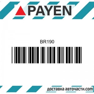 Гарнитура глава BR190 ISUZU 4FD1 4FG1T    BR190 PAYEN