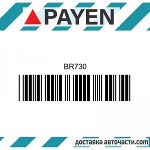 Гарнитура глава BR730 MAZDA F2 F21 F2-C F2E F2-EGI BR730 PAYEN