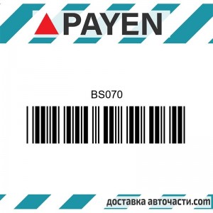 Гарнитура глава BS070 PAYEN