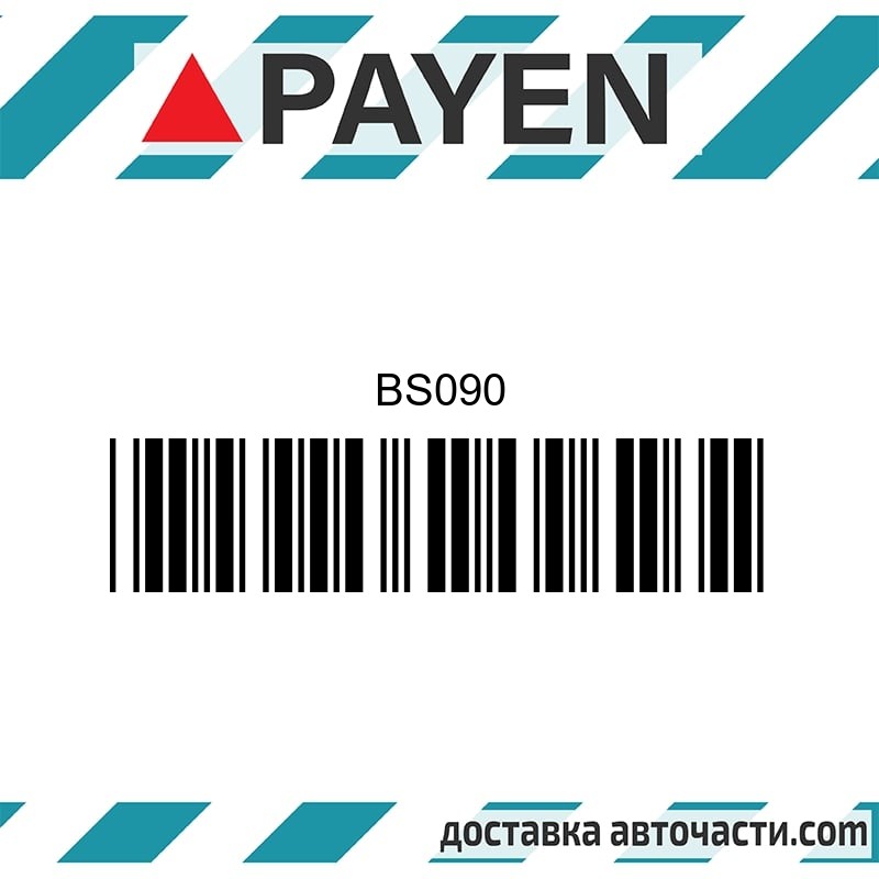 Гарнитура глава BS090 PAYEN