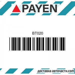 Гарнитура глава BT020 VW CS JX    BT020 PAYEN