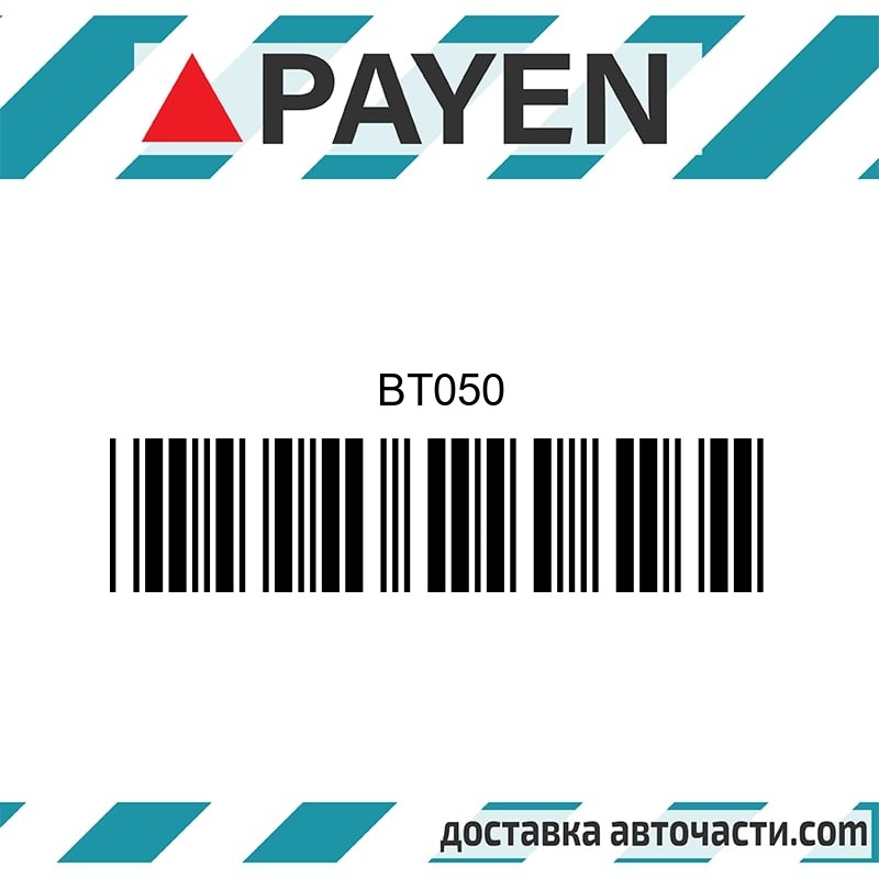 Гарнитура глава BT050 NISSAN SR20DE     BT050 PAYEN