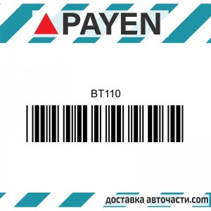 Гарнитура глава BT110 FORD G6A GUD GUE TLB  BT110 PAYEN