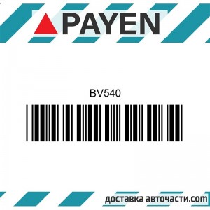 Гарнитура глава BV540 NISSAN QR20DE SR20DE SR20DET SR20DI  BV540 PAYEN