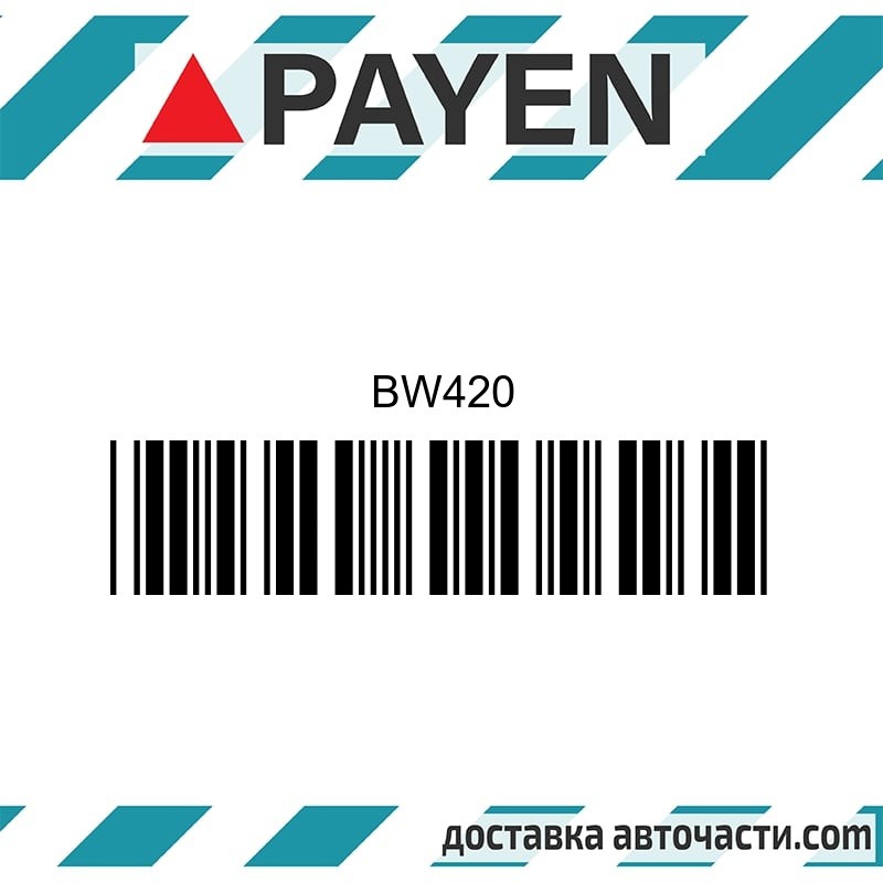 Гарнитура глава BW420 NISSAN CD20     BW420 PAYEN